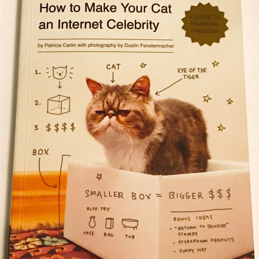 “How to Make Your Cat an Internet Celebrity” Book